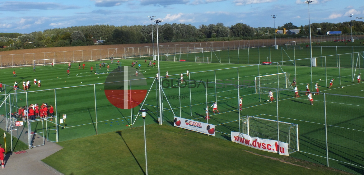 Artificial grass sport surfaces