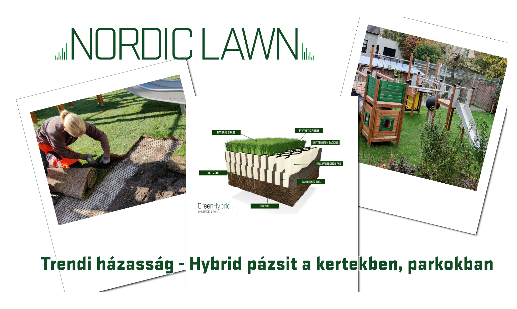 Nordic Lawn